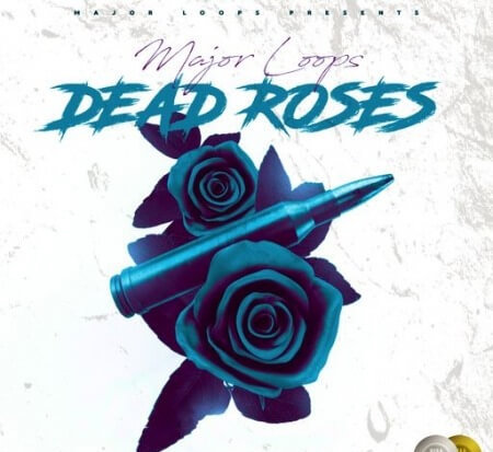 Dynasty Loops Dead Roses WAV